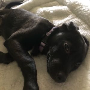 Meet your Posher, Danielle